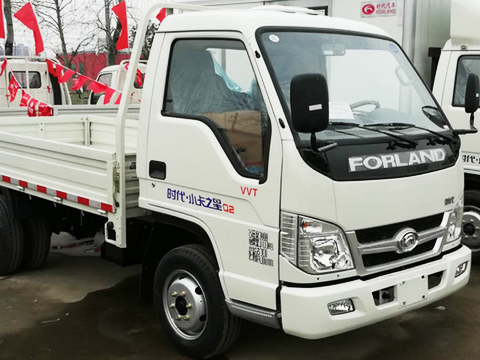 Camion de marchandise Foton 2 à 3 tonnes