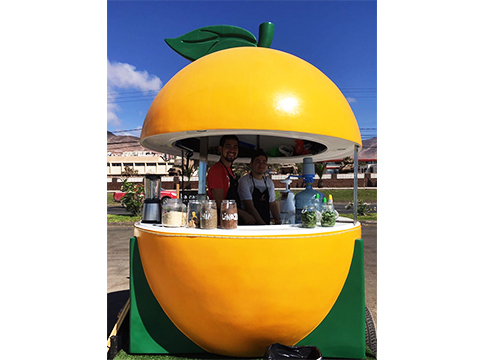 Kiosque mobile de barre de jus de type orange chaud de forme de vente