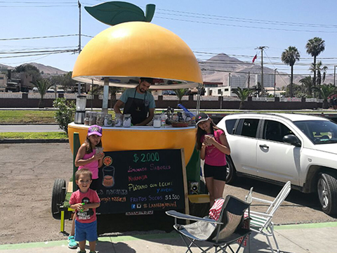 Kiosque de fruits mobile extérieur/ Fruit Stands/ Crepe Cart/ Hot Dog Cart/ Coffee Cart, Ice Cream Cart Hot Sale