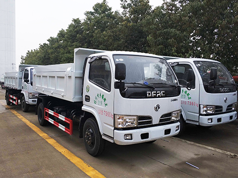 Dongfeng 2 to 3 ton Dump Truck/Tipper Truck